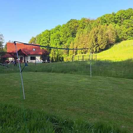 Dom Na Polanie Villa Brzeznica  Kültér fotó
